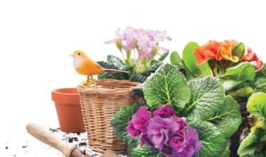 Gardening-864x510